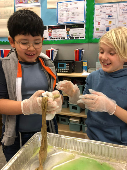 Year 3 Digestive System.jpg