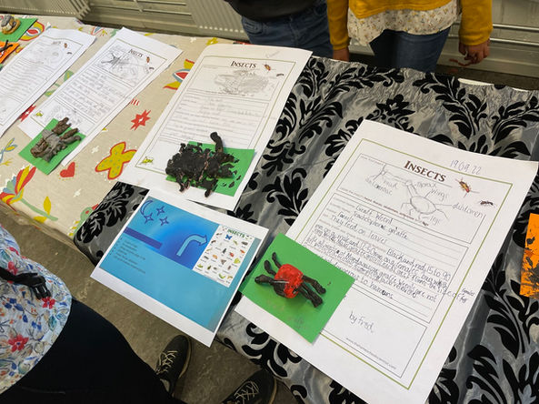 IPC Birralee Existing Endangered Extinct Year 4 s.jpg