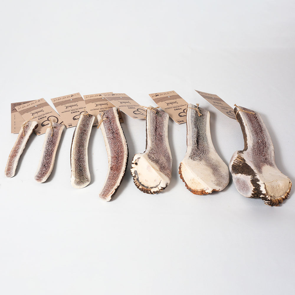 Bois de cerf tranché fumé