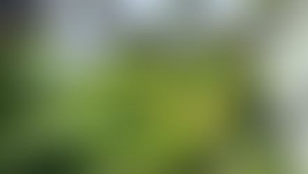 Residential Land for Sale in Anderson road - Nedimala 
