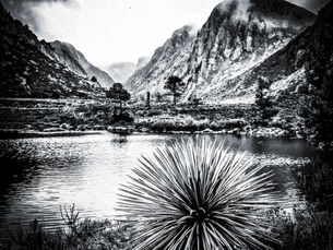 La Laguna Sagrada y el Portal de TyChi