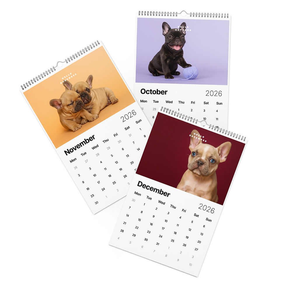 Thumbnail: Frenchie Wall Calendar (2026)