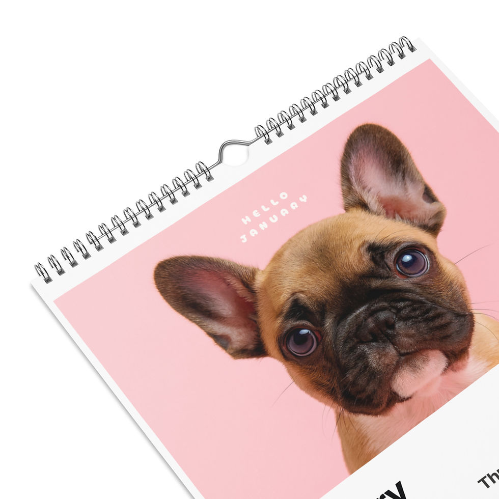 Thumbnail: Frenchie Wall Calendar (2026)