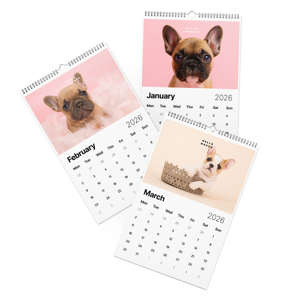 Thumbnail: Frenchie Wall Calendar (2026)