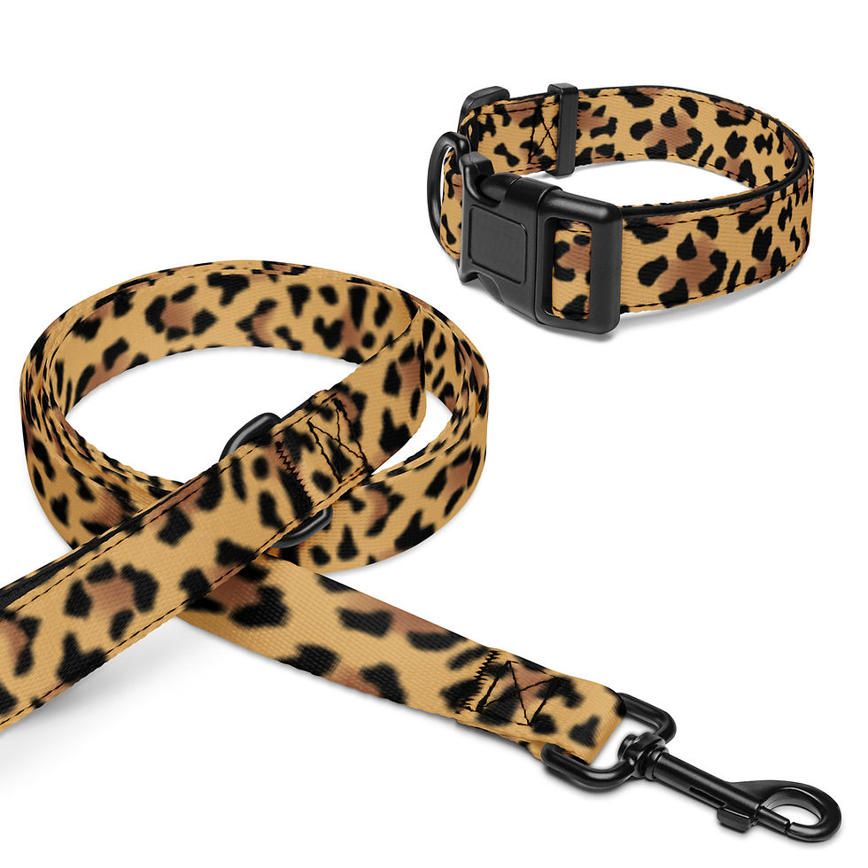 Thumbnail: Pet Collar & Leash - Leopard Print