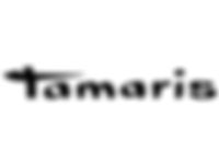 logo_0017_Vector Smart Object.jpg