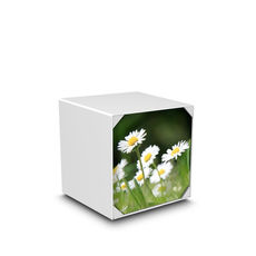 Urna cineraria MemoArt modello HD1 floreale, in metallo ad alto spessore con inserto in plexiglass, soggetto fotografico personalizzabile, calamite, magneti, Memo-Art, Memo Art, golden white, sabbia, grigio grafite