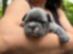Envy boy3wks3.jpeg