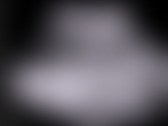 Ultrasound of a French Bulldog female with puppies