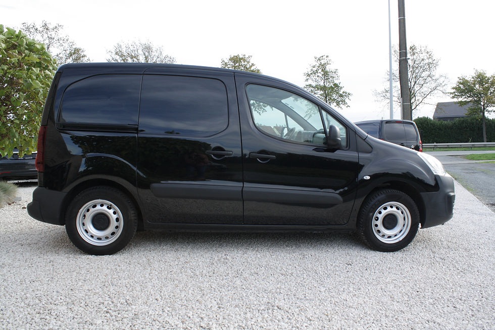 Thumbnail: Citroën Berlingo Lichte Vracht