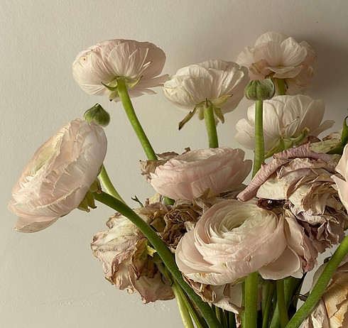 emotioneel welzijn advies