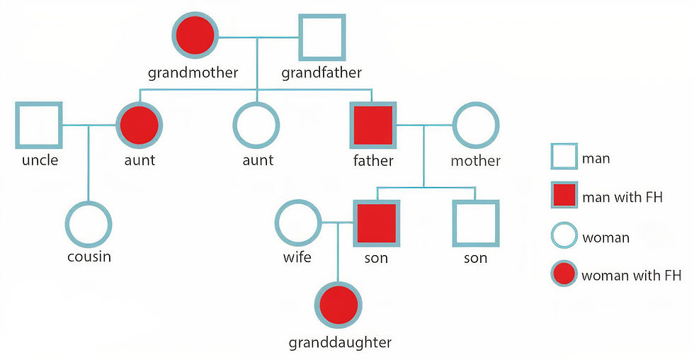 Pedigree of family affected with familial hypercholesterolaemia