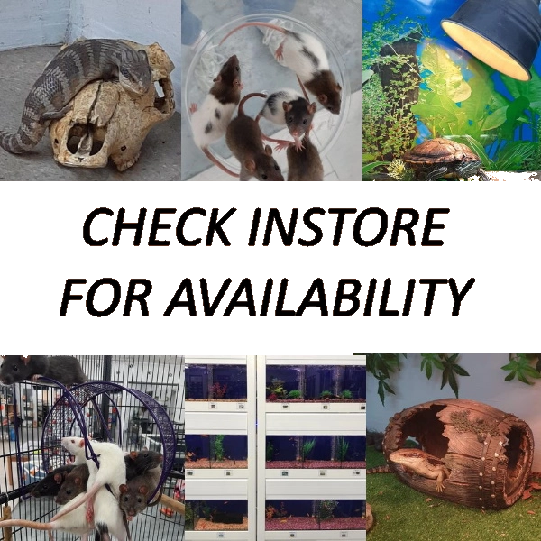 Check Instore Others1