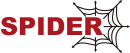 Spider Logo