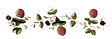 Untitled Project - 2024-09-26T122254.614.jpg