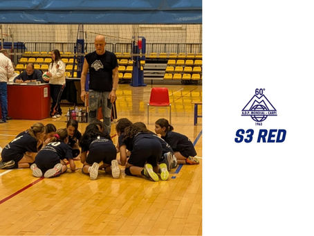 S3 Red: Univolley / Mondial