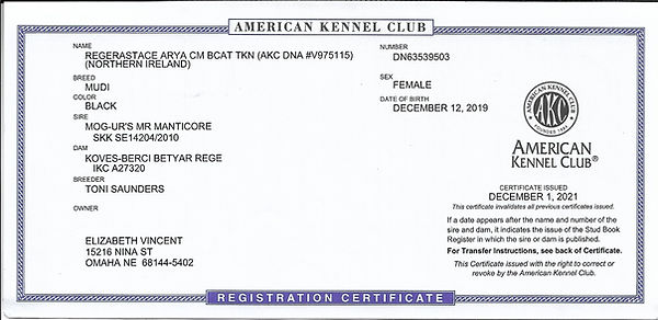Arya AKC herding group registration_edited_edited.jpg