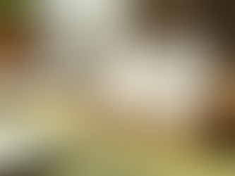 Personalized Marketing Solutions for Small to Medium Businesses