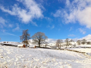 Everything sparkling with snow