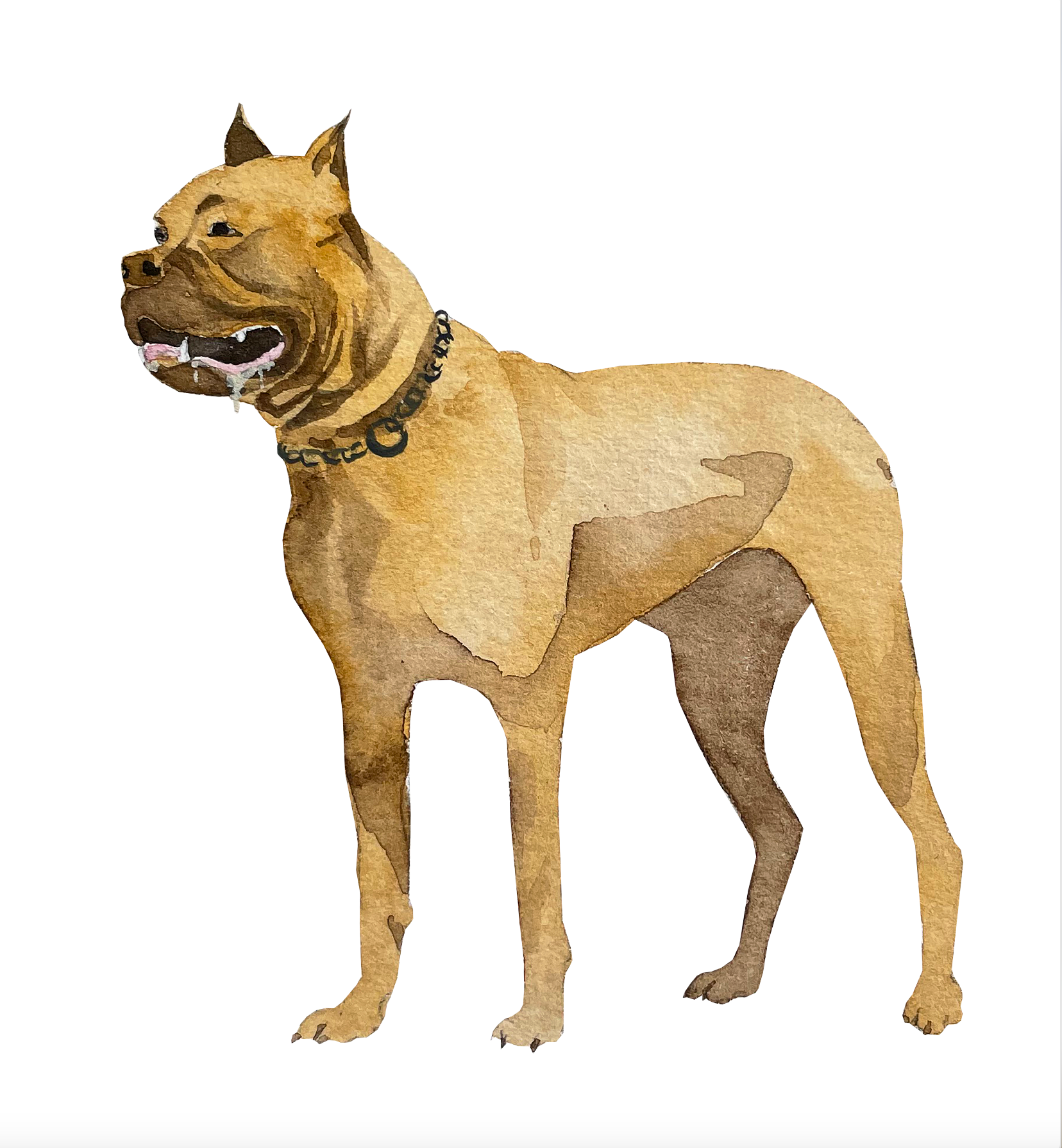 La Dogue