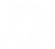 Rede Mulheres Nova Church