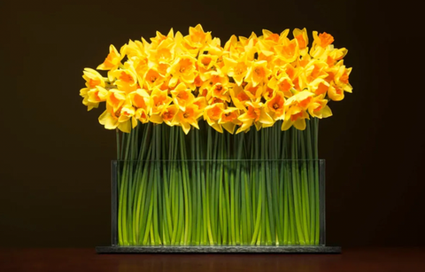 Shop Vases