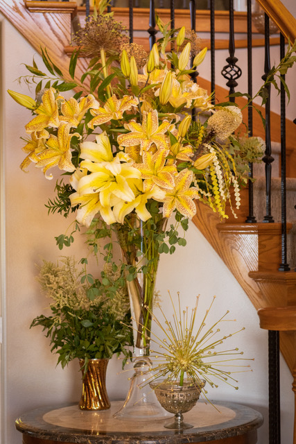 Plant Arrangements