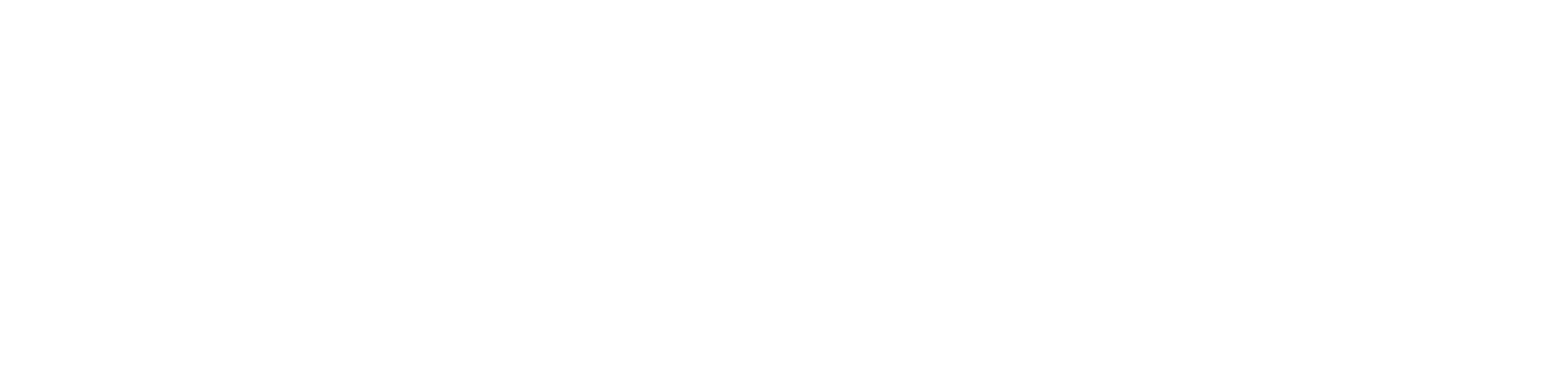 Decision Medical White Logo