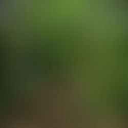 Taking The Road Less Travelled