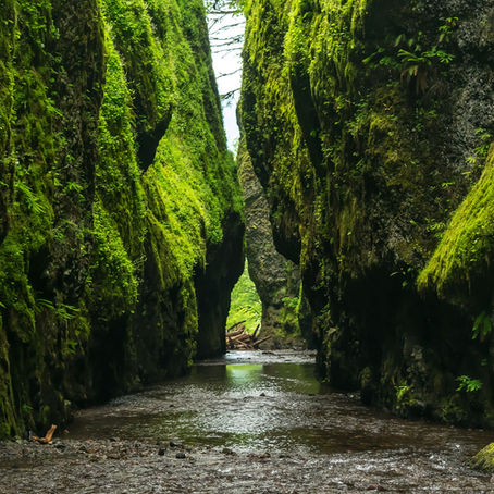 The Magic In The Pause