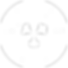 HSS_logo_mark_white.png
