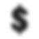 Dollar Icon