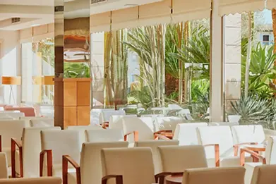 hht-mallorca-zafirotropic-cafeteria.webp