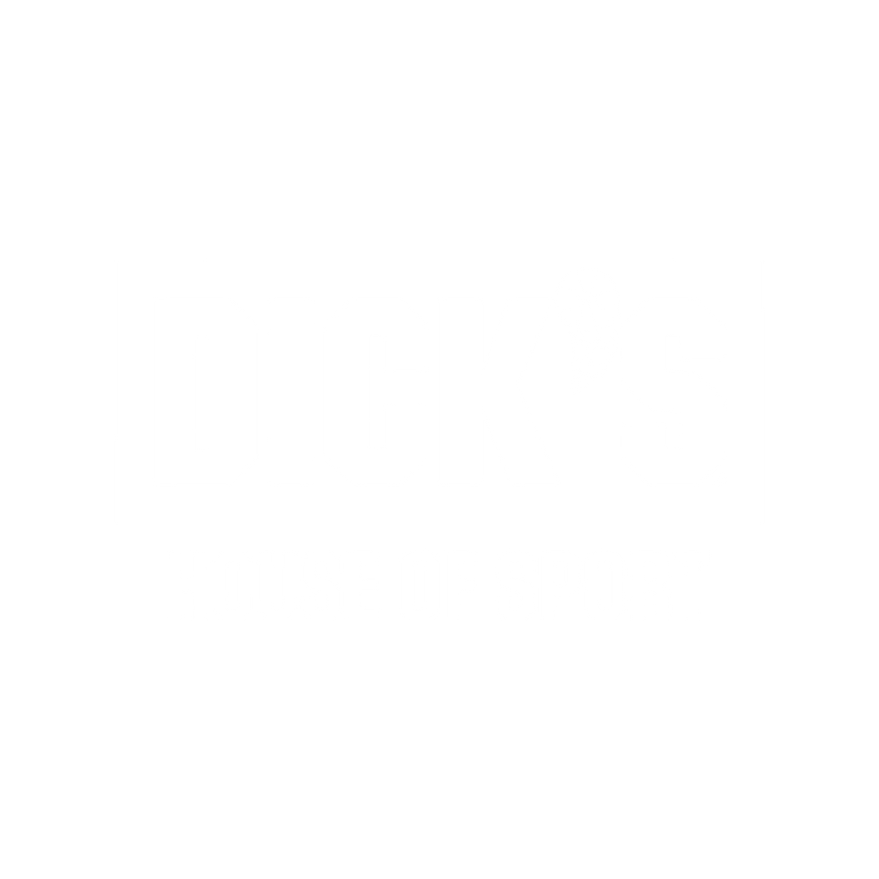 DicksLogo