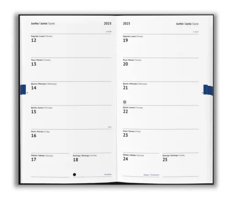 Miniatura: 50 Agendas Personalizadas 2023 Cortiça Planner Pequeno Eco
