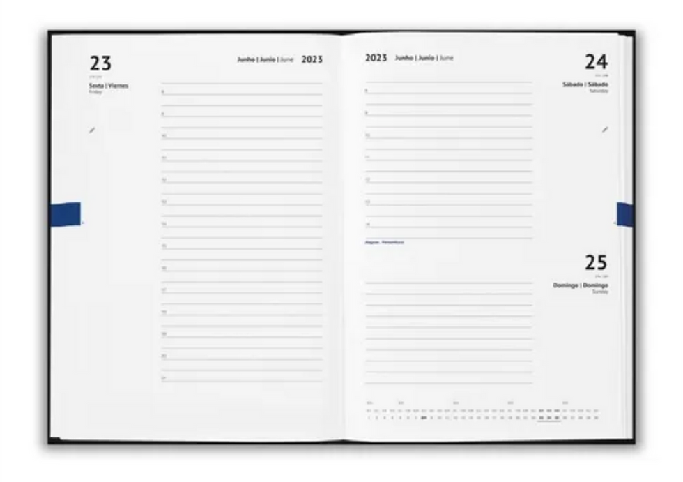 Miniatura: 10 Agendas Personalizadas 2023 Cortiça Planner Grande Eco