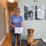 golden retriever dog training family