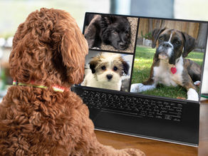 How virtual training sessions can be more effective