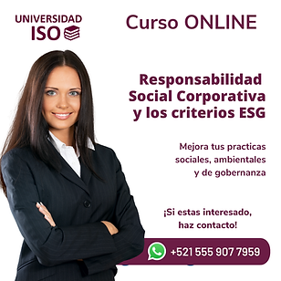 Gestión de SMETA 7.0 (2).png