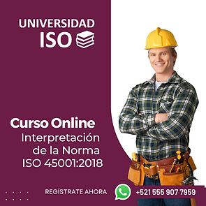 Curso Online ISO 45001.png