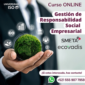 Gestión de SMETA 6 1.png
