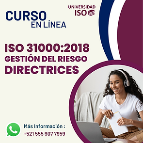 ISO 310002018.png