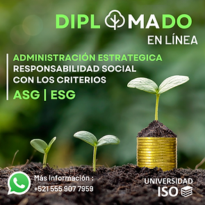 Diplomado RSE.png