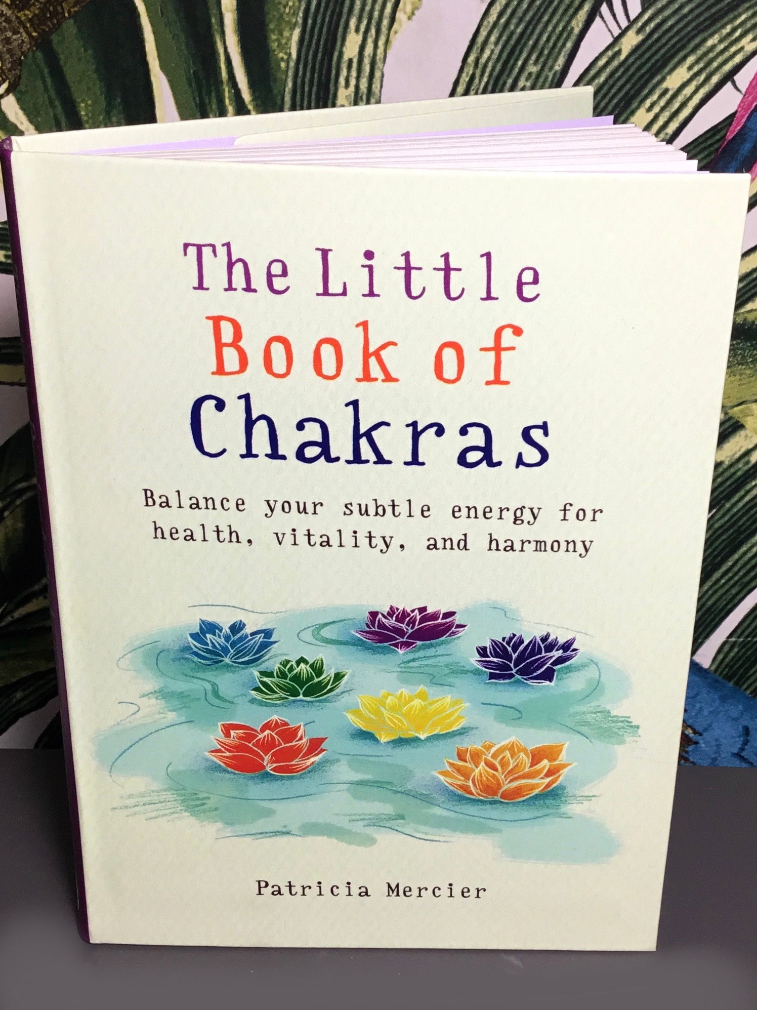 The little book of chakras