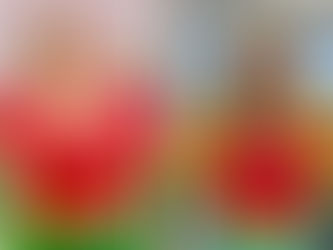 Weight loss solutions that work. 