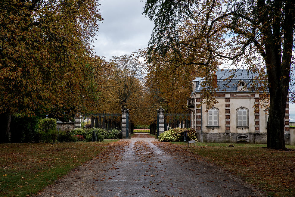 Le Château de Meursault