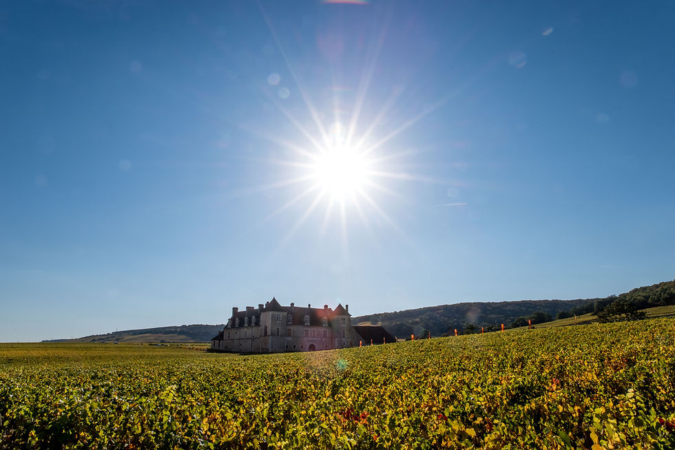 Le Château de Clos Vougeot