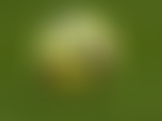 Confirmed Lineups for Real Madrid vs Betis in 2026 La Liga Clash