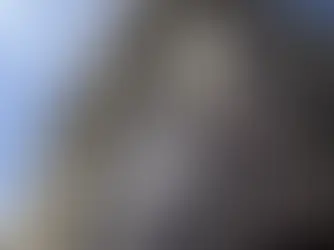 Federal Judge Blocks IRS From Sharing Sensitive Taxpayer Data With ICE