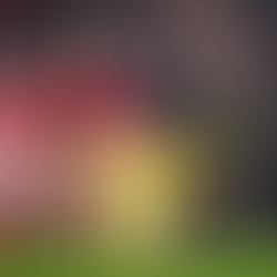 Real Madrid, PSG drop into UCL playoffs on chaotic final day